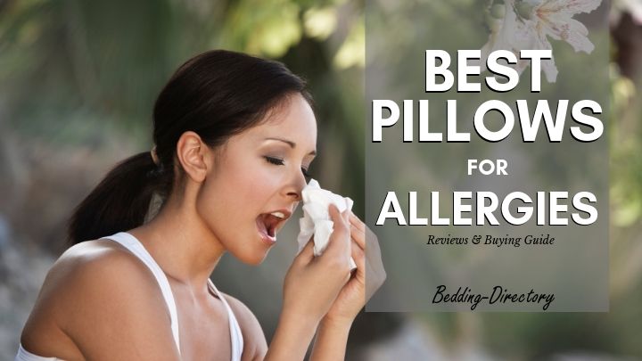 Read more about the article The 9 Best Hypoallergenic Pillows for 2020 | Ultimate Guide & Reviews