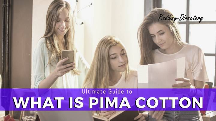 Read more about the article What is Pima Cotton? Ultimate Guide to Pima Cotton Sheets