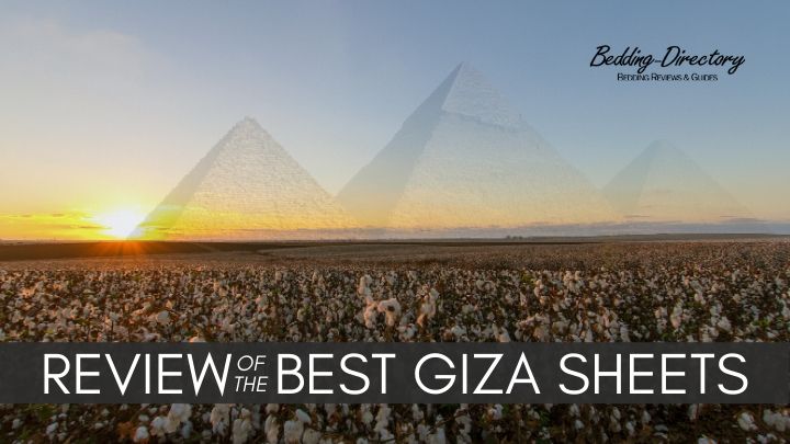 Read more about the article MyPillow Giza Sheets Compared and Reviewed- Are they worth it?