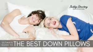Read more about the article The Best Down Pillows for 2021 | Ultimate Guide & Reviews