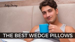 Read more about the article Best Wedge Pillows for 2021 | Ultimate Buyer’s Guide & Review