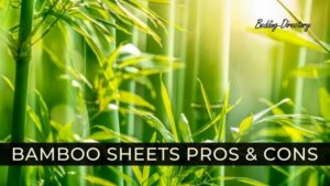 Read more about the article Bamboo Sheets Pros and Cons