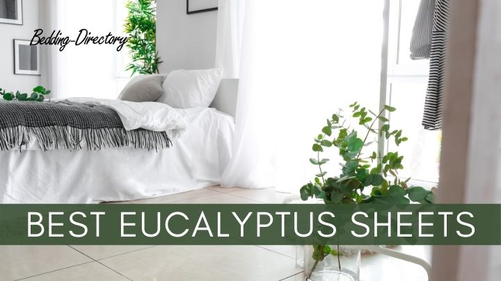 Read more about the article The Best Eucalyptus Sheets for 2022