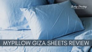 Read more about the article MyPillow Giza Dream Sheets Review