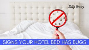 Read more about the article 5 Signs Your Hotel Bed Has Bed Bugs: Tips to Spot Them Early